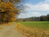 Hradec nad Moravic, dol eky a okol vbec...