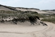 Mr. Peter Cooks photos. Provincetown, MA. Thanks!