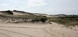 Mr. Peter Cooks photos. Provincetown, MA. Thanks!