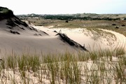 Mr. Peter Cooks photos. Provincetown, MA. Thanks!