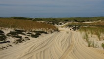 Provincetown, pobe ocenu a duny...