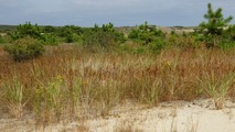 Provincetown, pobe ocenu a duny...