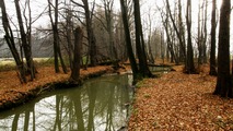 Podzimn Pood mezi Polankou a Jistebnkem 