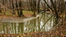 Podzimn Pood mezi Polankou a Jistebnkem 