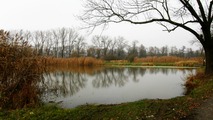 Podzimn Pood mezi Polankou a Jistebnkem 