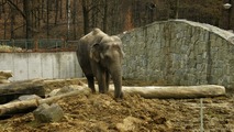 ZOO Ostrava